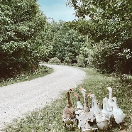 Otel Balkaya çiftliği