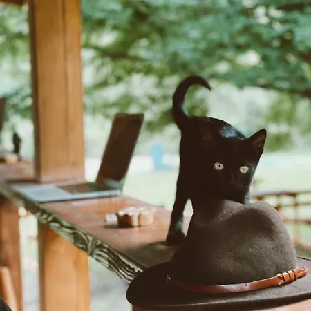 Balkaya çiftliği Otel Balkaya (Kirklareli)