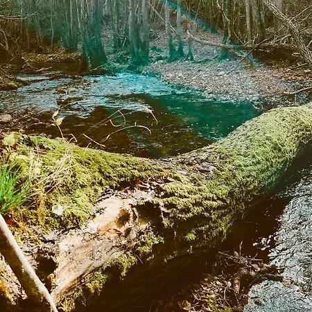 Balkaya çiftliği Otel