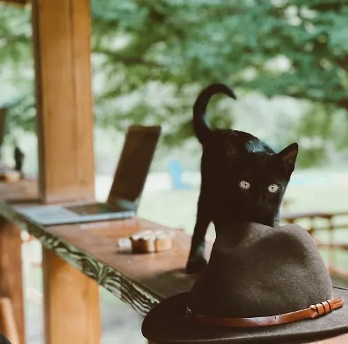 Balkaya Ciftligi 酒店 Balkaya (Kirklareli)