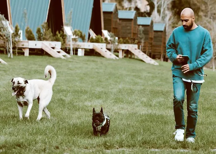 Balkaya Ciftligi 酒店 Balkaya (Kirklareli)